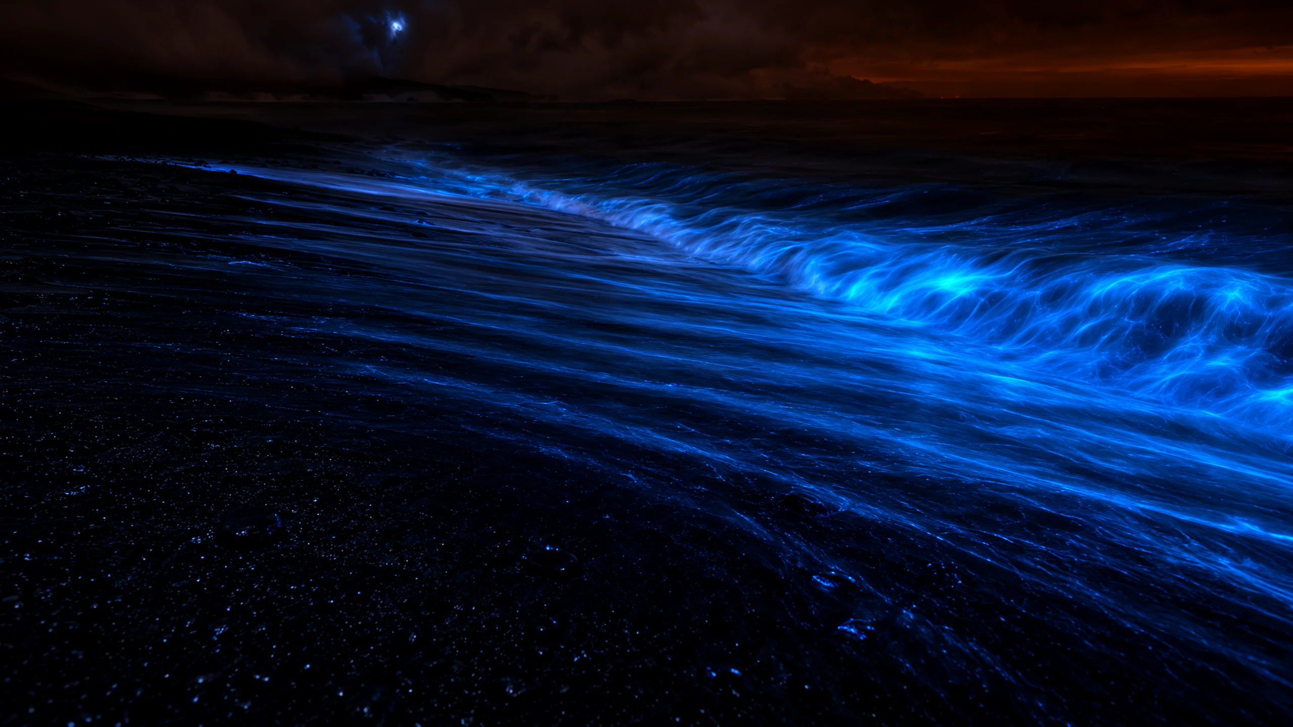 Tidal Glass — A long-exposure night photograph of bioluminescent waves breaking on a black volcanic beach. The surf glows electric cyan and deep blue where the water folds, while thin veils of sea foam streak across wet black sand. In the foreground, scattered basalt stones are wet and reflective; in the background, a low wall of storm cloud hides the horizon. Composition: low camera position just above the sand, wave crest entering from the right, long diagonal foam trails leading to the upper left, 24mm wide angle. Lighting: only the bioluminescence, a faint blue moon behind cloud, and the last amber glow of dusk on the horizon; deep OLED blacks. Texture: glassy wet sand, foam bubbles, spray, fine mist, individual black pebbles. Mood: cold, otherworldly, quiet. Ultra detailed long-exposure photography, natural color, no text, no watermark.